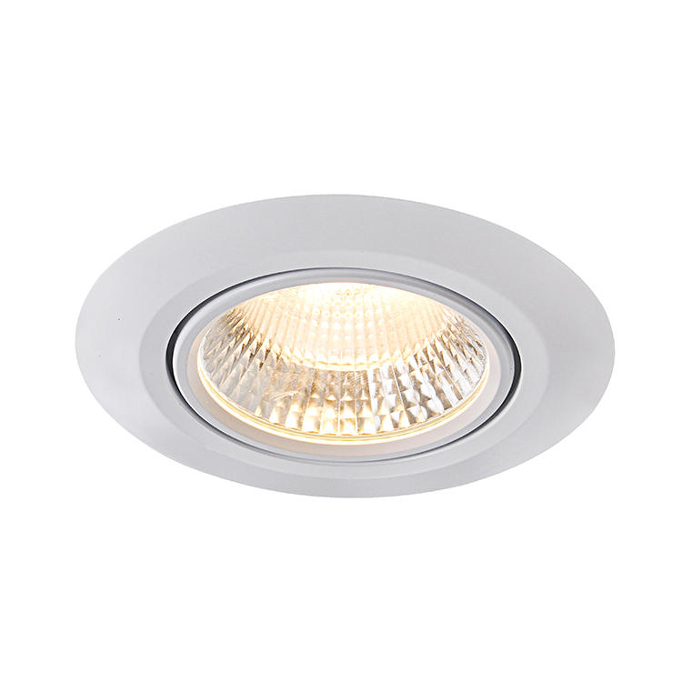 Led-downlight-Lari-onderkant.jpg